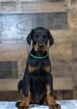 RIGGS